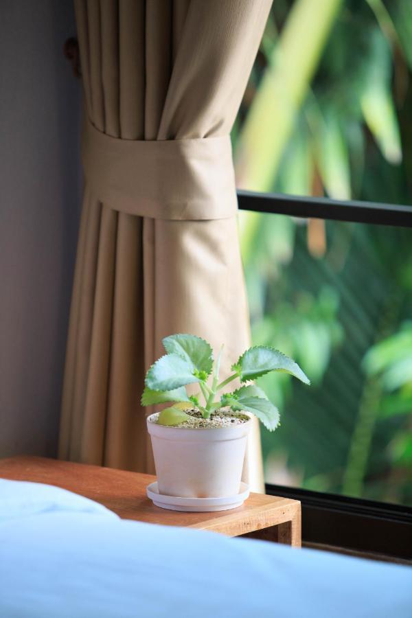 In My Place Cafotel Khlong Thom 외부 사진